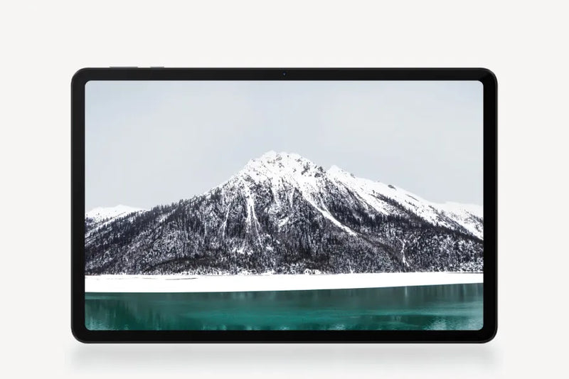 Pantalla 12,1